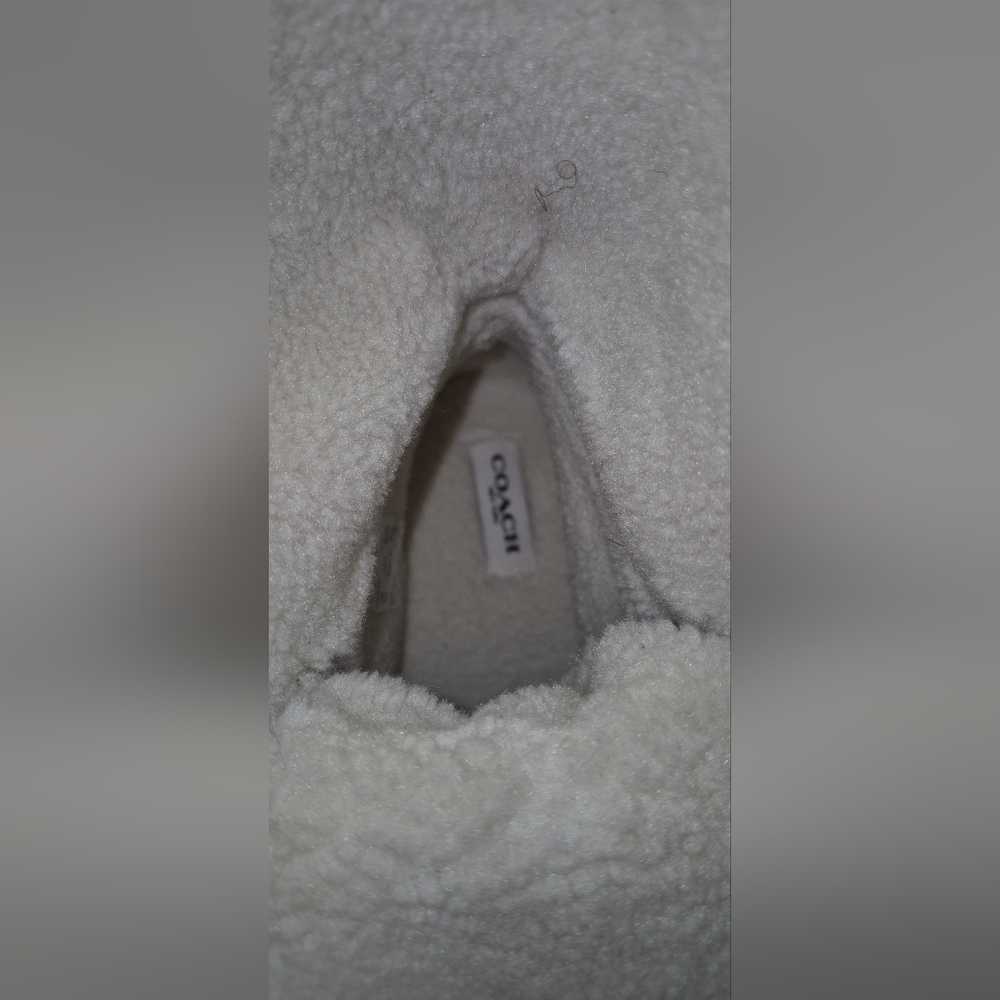 Coach Brown and Cream High-Top Sneakers - Picture 5 of 6
